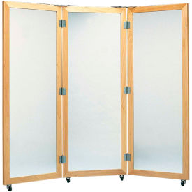 Fabrication Enterprises Inc 19-1103 Plate Glass Mirror with Mobile Caster Base, 3-Panel, 28"W x 75"H Panels image.