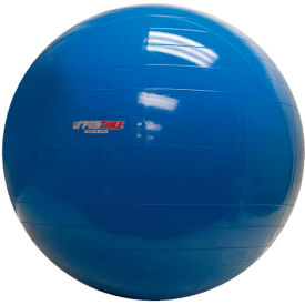 Fabrication Enterprises Inc 30-1703 PhysioGymnic™ Molded Vinyl Inflatable Exercise Ball, 85 cm (34"), Blue image.