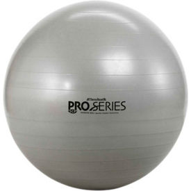 Fabrication Enterprises Inc 30-1880 Thera-Band™ SCP™ Pro Series Inflatable Exercise Ball, 85 cm (34"), Silver image.