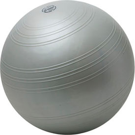 Fabrication Enterprises Inc 30-4020 TOGU® ABS® Powerball Challenge, 55-65 cm (22-26 in), Silver image.