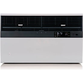 Friedrich® Kuhl Commercial Window/Wall Air Conditioner w/ Heat Pump 10000 BTU 115 V