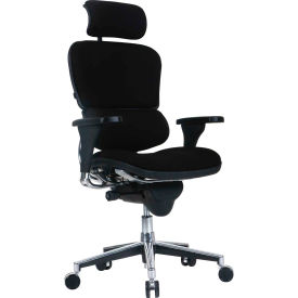 Eurotech Ergohuman Chair - High Back - Fabric - Black -Ergohuman Series