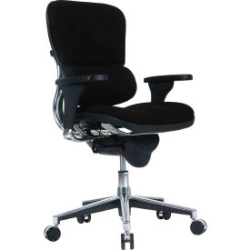 Raynor Marketing Ltd. FE66ERGLO-BLACK Eurotech Ergohuman Chair - Low Back - Fabric - Black -Ergohuman Series image.