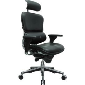 Eurotech Task Chair with Headrest - Leather - Black - Ergohuman Series
