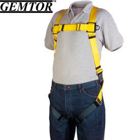 Gemtor Inc.