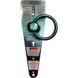 Guardian 00484 Bull Ring Anchor