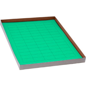 Cryo 38 x 19mm General Use Green 20 Sheets 60 Labels view 2