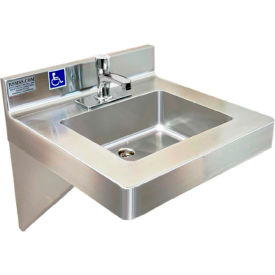 BSM Inc. ADA SS Hand Sink 1 Station with Metering Faucet Wall Mount 20""L x 19""W x 5-1/2""D Sink