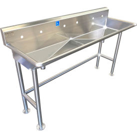 BSM Inc. ADA SS Sink 3 Station Body Only Floor Mount Sloped Drain 60""L x 20""W x 6""D Sink