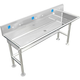 BSM Inc. ADA SS Sink 3 Station Body Only Floor Mount 5"" Backsplash 60""L x 20""W x 6""D Sink