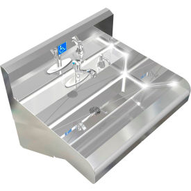 BSM Inc. Elite ADA SS Sink 1 Station with Metering Faucet Wall Mount 24""L x 21""W x 5""D Sink