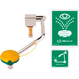 Haws Corporation 7610 Haws®, 7610, Barrier-Free Single Action Swing-Down Eye/Face Wash Mounted On Rear Of Sink image.