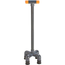 DQE Decon Stability Cane DQE Decon Stability Cane