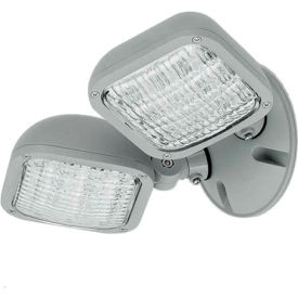 Hubbell Lighting Co CWRD Hubbell CWRD Outdoor Dual Head Remote LED Fixture, Use with CU2W, Outdoor, Grey image.