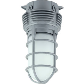 Hubbell Lighting Co VBGL-1 Hubbell VBGL-1 LED Vaportite Fixture, Ceiling or Pendant, 757L, 11W, 4100K, Frosted Globe, Gray,IP66 image.