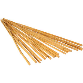 Hydrofarm, Inc HGBB3 GROWT HGBB3 3 Bamboo Stakes, Natural Color, 25 Pack image.