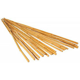Hydrofarm, Inc HGBB4 GROWT HGBB4 4 Bamboo Stakes, Natural Color, 25 Pack image.