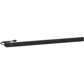 Treston M48 Power Rail with 10 Outlets & 8L Cord 15 Amp 125 Volts 46-7/8"W Black 