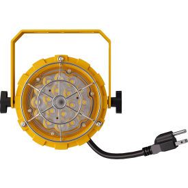 LED Dock Light Head, 30W, 3900 Lumens view 2