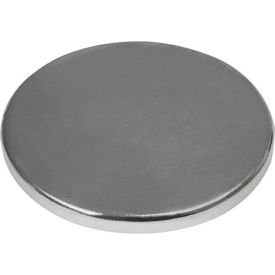INDUSTRIAL MAGNETICS, INC CMP7506P1N42 Max-Attach® Polymagnet® Rare Earth Disc - 0.75" Dia. x 0.06" Thick image.