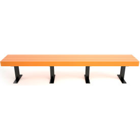 Frog Furnishings Trailside 8 Recycled Plastic Bench Cedar Bench/Black Frame 