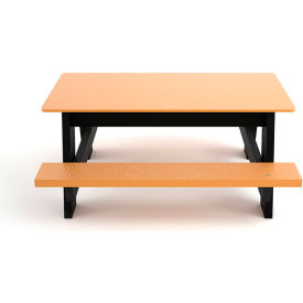 Frog Furnishings 4 Recycled Plastic Kids Picnic Table Cedar 