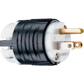 Legrand Home Systems PS5266X Legrand® Double Pole Plug, 3W, 15A, 125V, Black image.