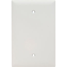 Legrand Home Systems TPJ13W Legrand® Trademaster® Box Mounted Blank Wall Plate W/ One Gang, White image.