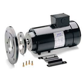 Leeson Motors DC Motor IEC Metric .75KW, 1800RPM, 80D, IP54, 180V, S1, 40C, 1.0SF, Special