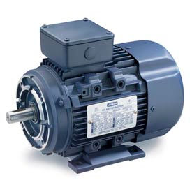 Leeson Motors Motor IEC Metric Motor-10HP, 230/460V, 1760/1450RPM, IP55, B3/B14, 1.15 SF, 89.5 Eff.