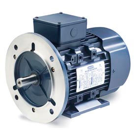 Leeson Motors Motor IEC Metric Motor-20HP, 230/460V, 1180/980RPM, IP55, B3/B5, 1.15 SF, 90.2 Eff. Leeson Motors Motor IEC Metric Motor-20HP, 230/460V, 1180/980RPM, IP55, B3/B5, 1.15 SF, 90.2 Eff.