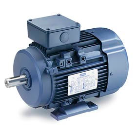 Leeson Motors Motor IEC Metric Motor-25/25HP, 230/460V, 1185/980RPM, IP55, B3, 1.15 SF, 91.7 Eff.
