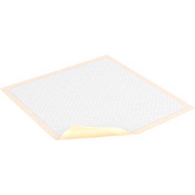 SCA Personal Care Inc 361 TENA® Extra Underpads for Bariatric, 36" x 36", Beige, 100/Case image.