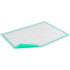 SCA Personal Care Inc 365 TENA® Ultra Plus Underpads, 28"x 30", Green, 100/Case image.