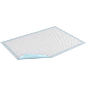 SCA Personal Care Inc 370 TENA® Air Flow Underpads, 23"x 36", Blue, 60/Case image.