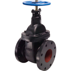 Legend Valve® T-301 Non-Rising Stem Gate Valve Cast Iron 3"" Flanged