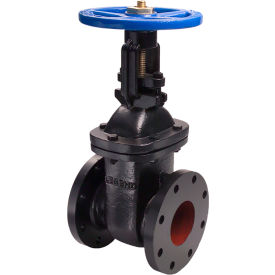 Legend Valve® T-303 OS & Y Gate Valve Cast Iron 3"" Flanged