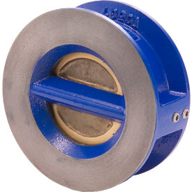 Legend Valve® T-312 Ductile Iron Check Valve with EPDM Seats Aluminum Bronze Disc 10"" Wafer