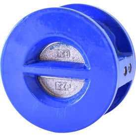 Legend Valve® T-312 Ductile Iron Check Valve with EPDM Seats Stainless Steel Disc 6"" Wafer