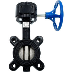 Legend Valve T-365DI-G Butterfly Valve with EPDM Seals & Gear Operator, 4 Lug