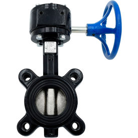 Legend Valve® T-367DI-G Butterfly Valve with BUNA Seals & Gear Operator 6"" Lug