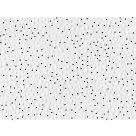 L&W Supply Corp. 4801 USG 4801 Pebbled™ ClimaPlus™ Ceiling Panels, Mineral Fiber, White, 24" x 24" image.