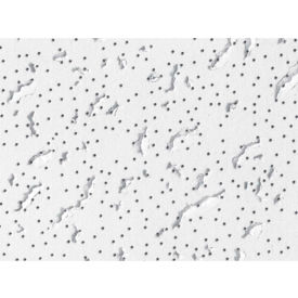 L&W Supply Corp. 506*****##* USG 506 Fissured™ Ceiling Panels, Mineral Fiber, White, 24" x 24" image.