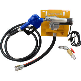 Western Global 115 Volt 12 Gallon Per Minute Pump Kit with fittings