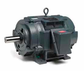 Marathon Motors Y204 Marathon Motors Oil Well Pump Motor, Y204, 10HP, 230/460/796V, 1200RPM, 3PH, 256T FR, DP image.