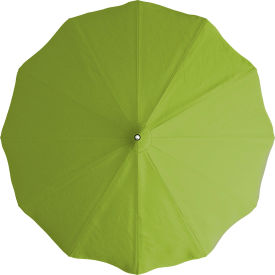 California Umbrella Pagoda 8-1/2 Patio Umbrella Silver Pole Sunbrella Macaw 