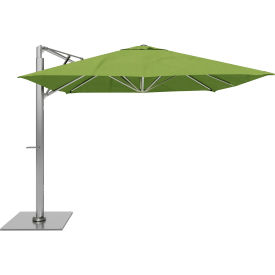 California Umbrella Sola 10 x 10 Cantilever Umbrella Silver Frame Sunbrella Ginkgo Fabric 