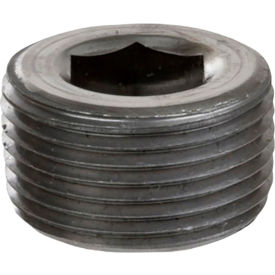 MSI Products 1" Plain Merchant Steel Hex Socket Plug 150-300 PSI 