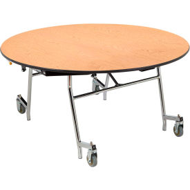 NPS Mobile EasyFold Table, 48 NPS Mobile EasyFold Table, 48