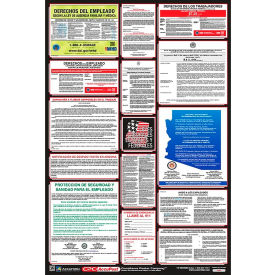 National Marker Company PPG400-FL Labor Law Poster - Florida - Spanish image.